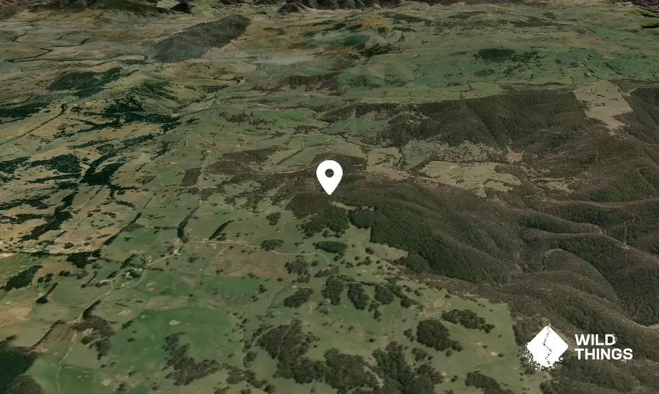 Black Mountain