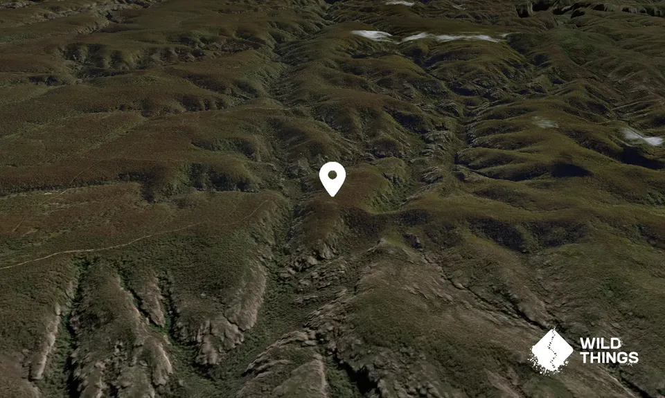 Mount Norris