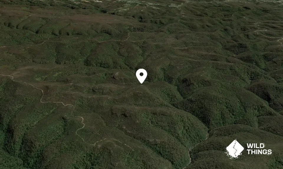Mount Gibson