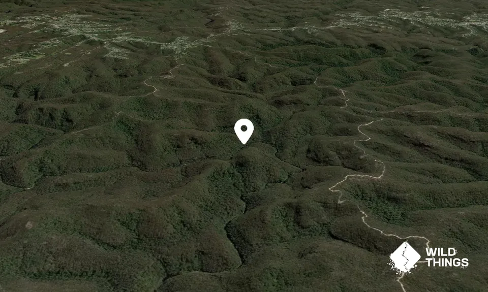 Scorpion Hill