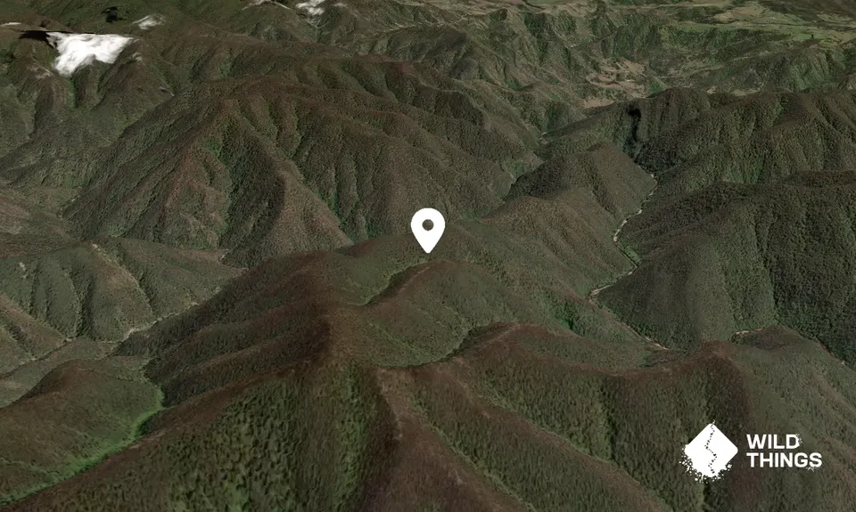 Mount Cullen