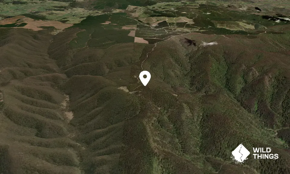 Kiaora Hill