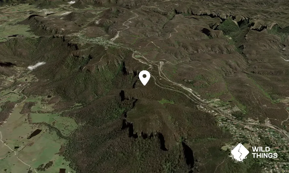 Mount Boyce
