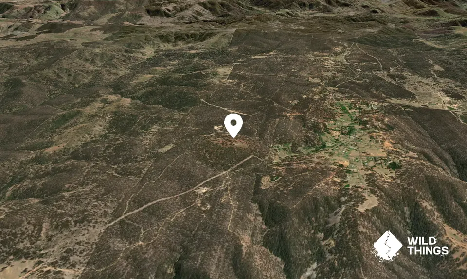 Bald Hill
