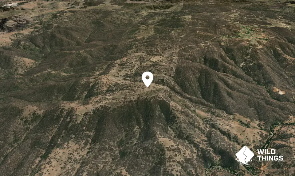 Junction Mountain
