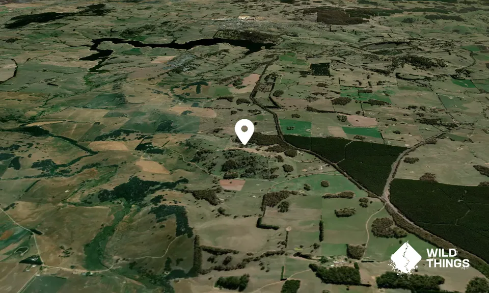 Harveys Hill