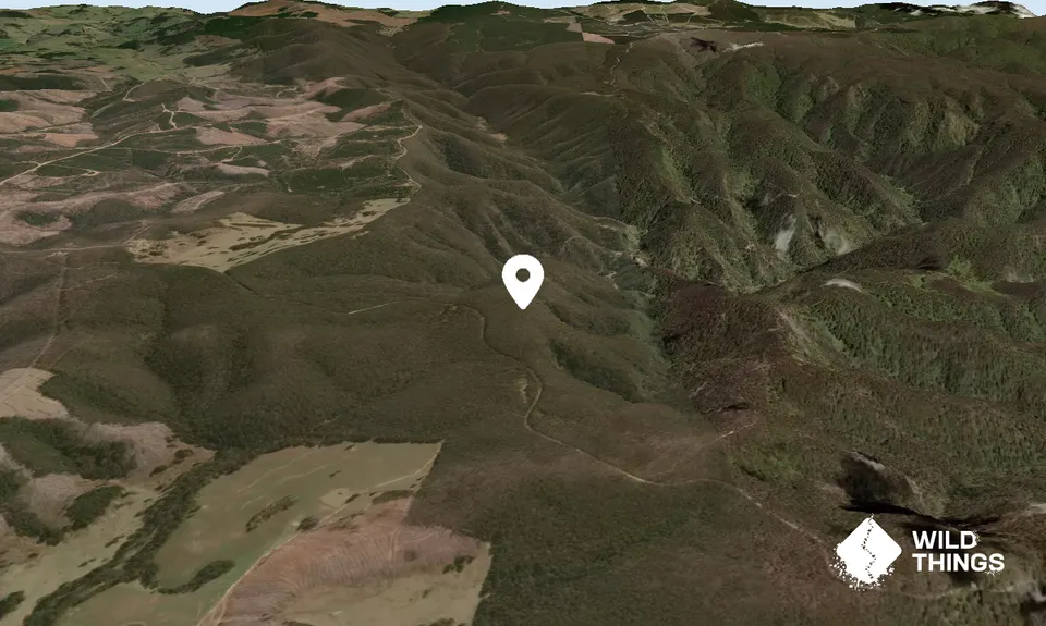Mount Wiburd