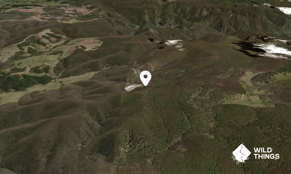 Mount Budthingeroo