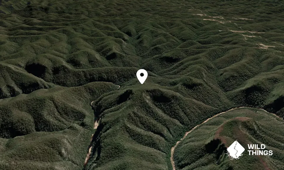 Mount Townsend