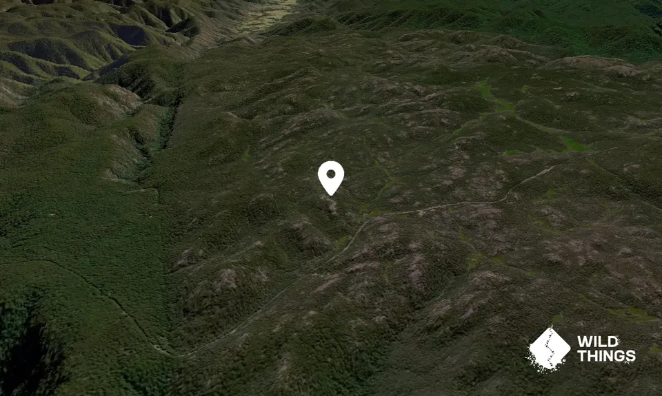 Boundary