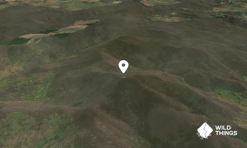 Mount Jingellic