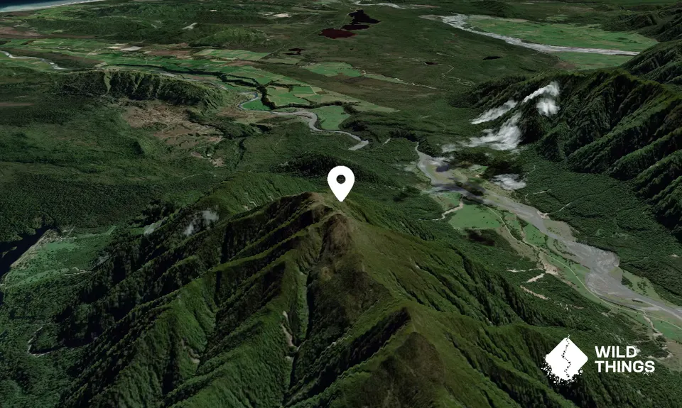 Tuhua