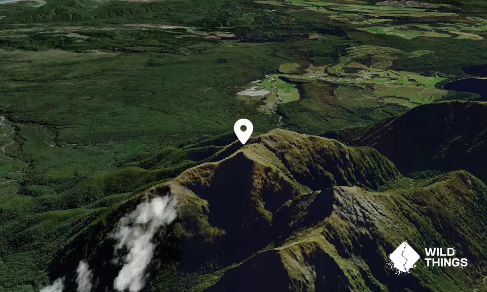 Mount French