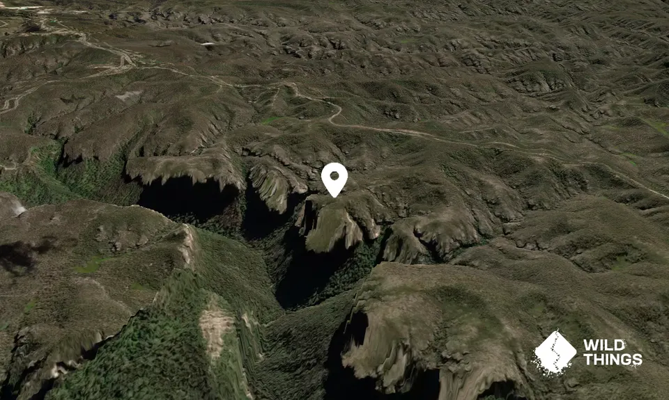 Dalpura Head