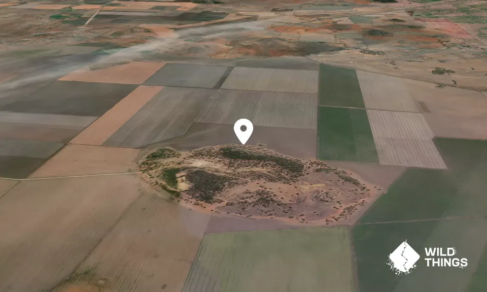 Pine Ridge