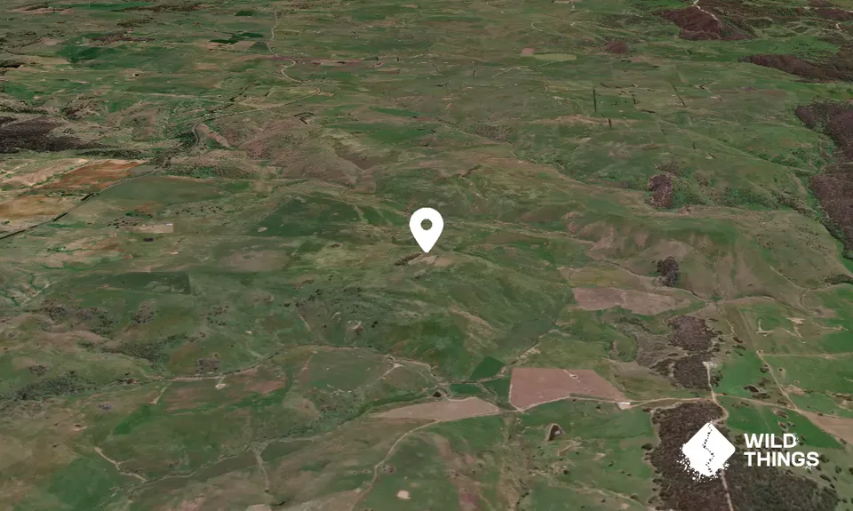 Chatsbury
