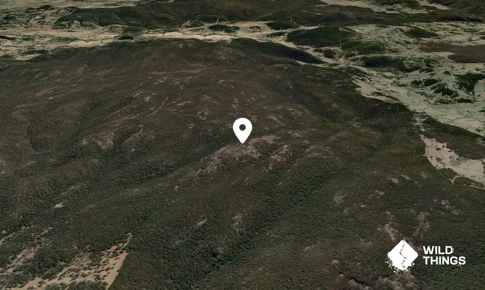 Mt Scott