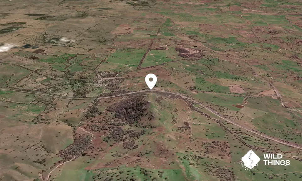 Bowning Hill