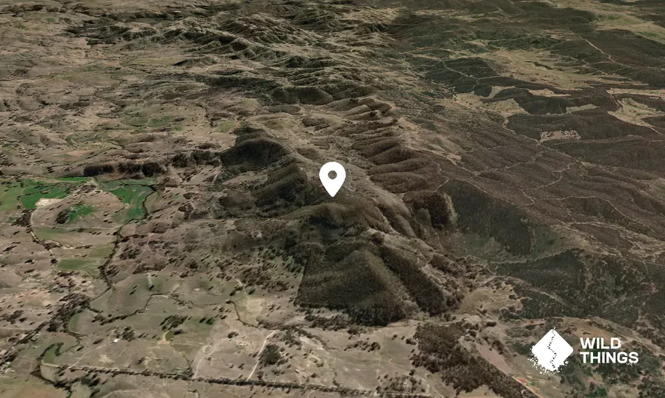 Pointed Brother Mountain