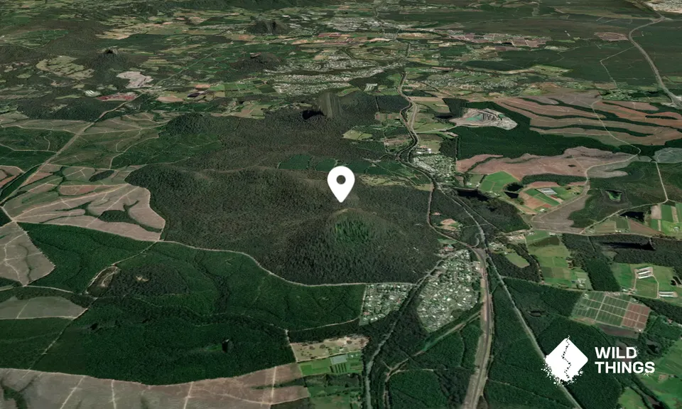 Mount Beerburrum