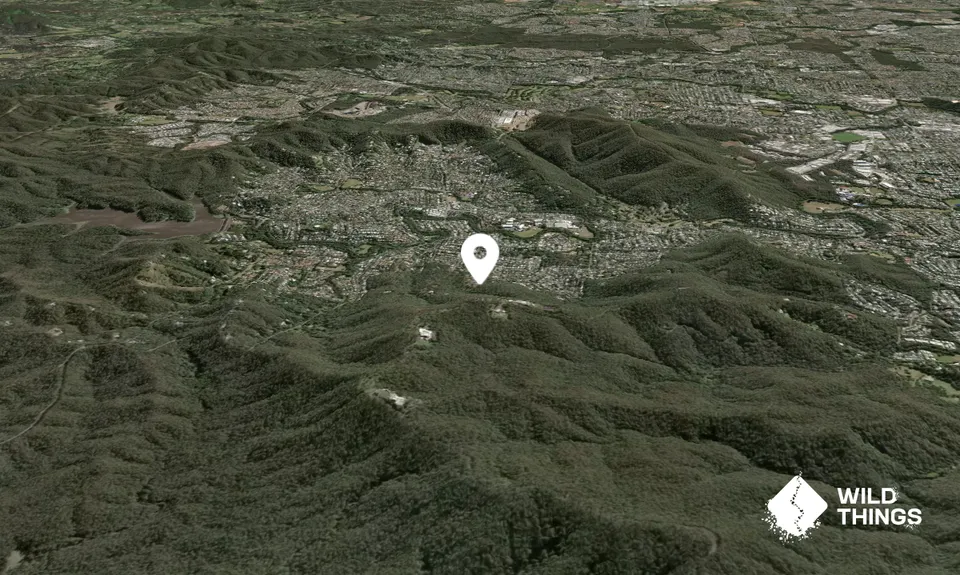 Mt Coot-tha
