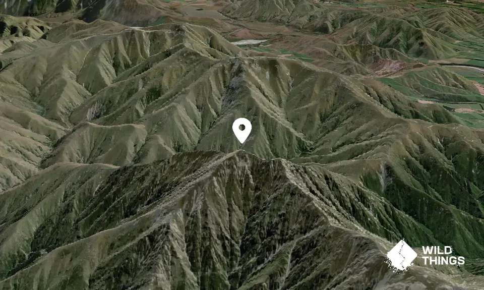 Mount Peel
