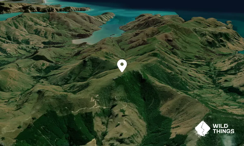 Mount Fitzgerald