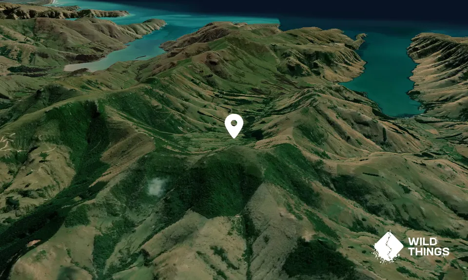 Mount Sinclair (Banks Peninsula)