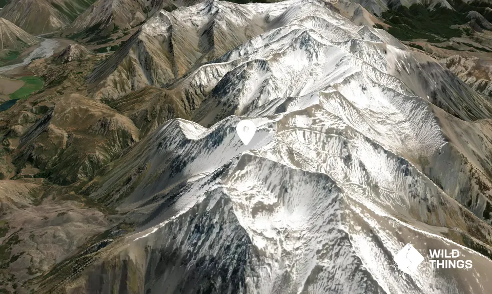 Willis Peak