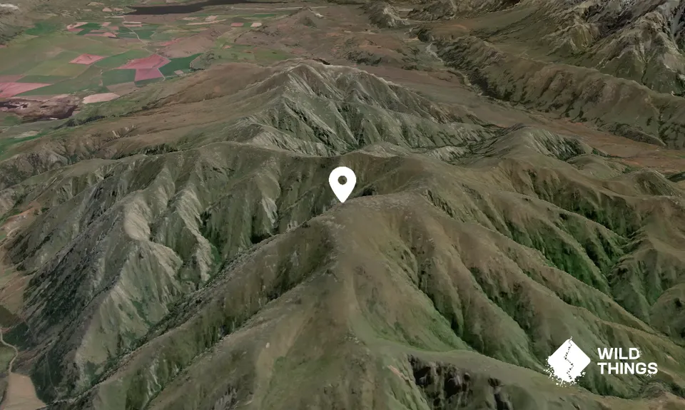 Mount Barrosa