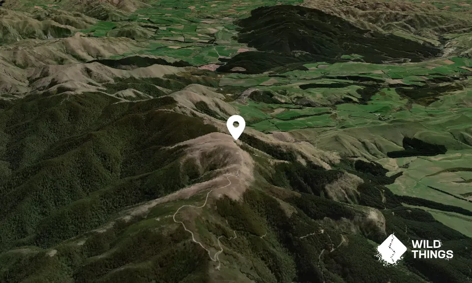 Mount Grey/Maukatere