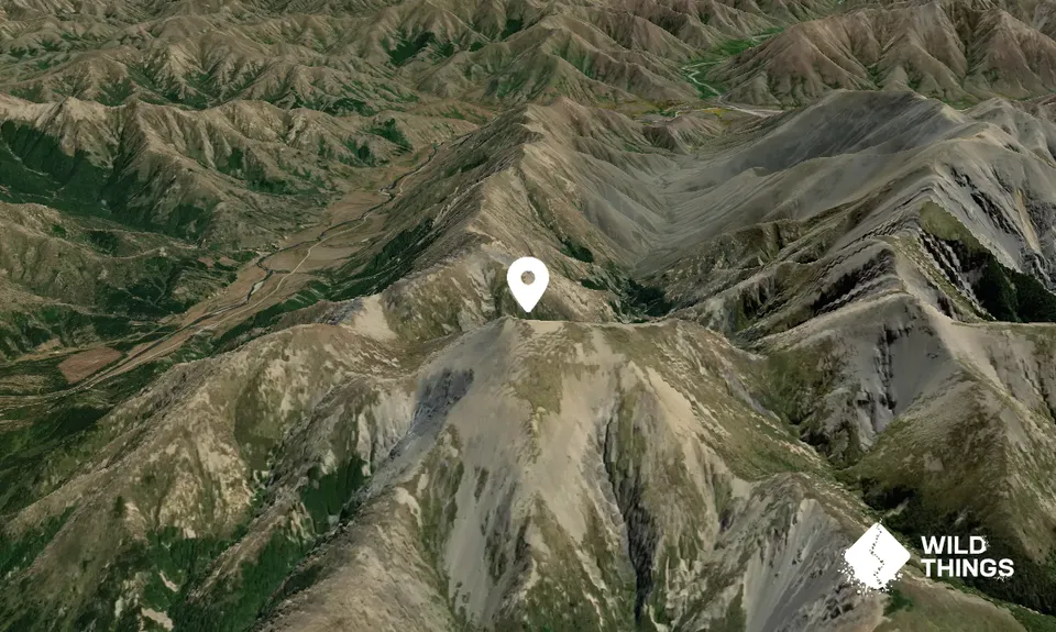 Mount Percival