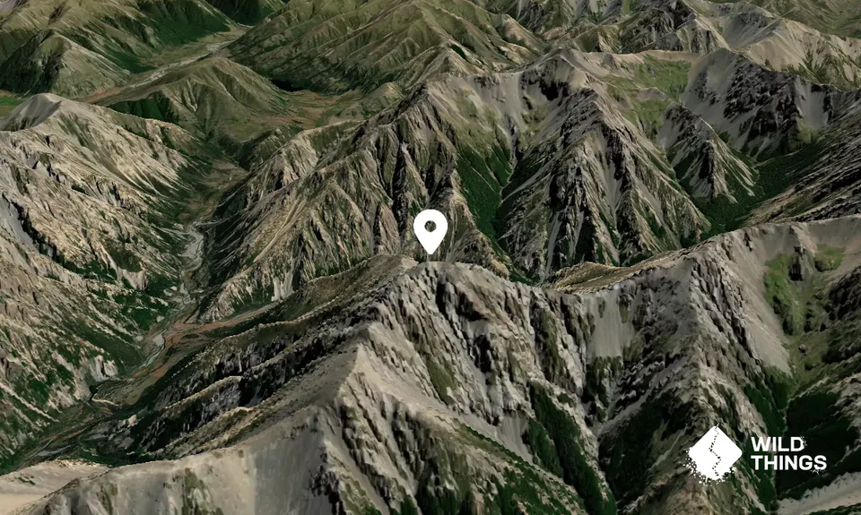 Mount Willmer
