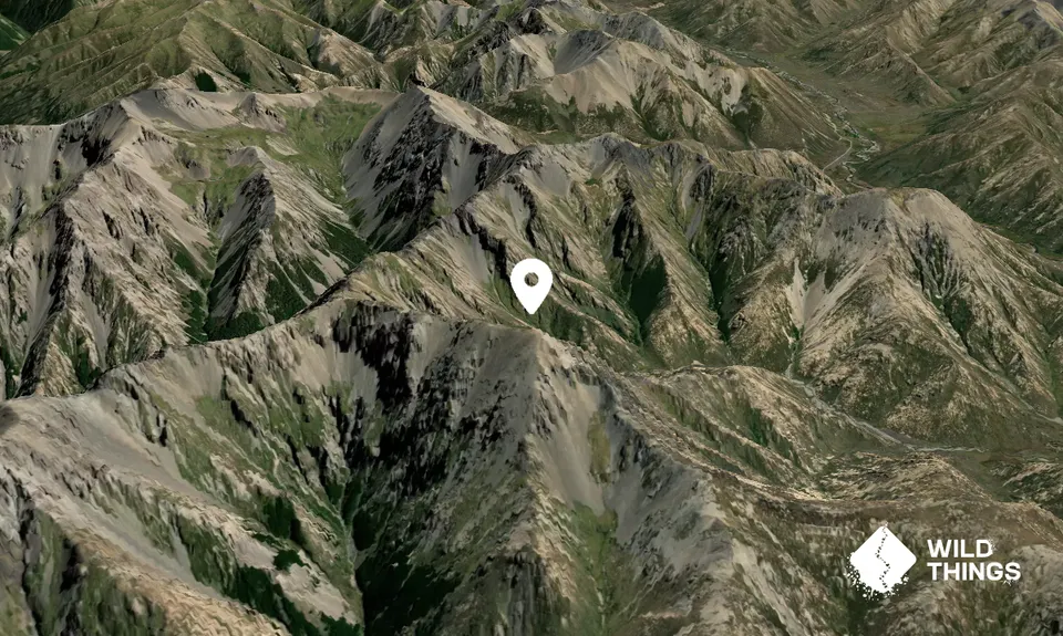 Mount Horrible