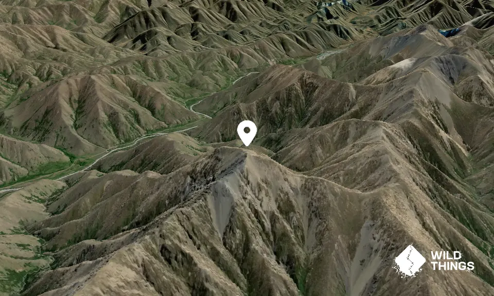 Mount Gordon
