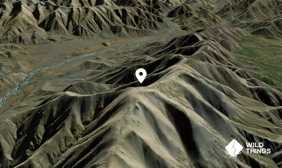 Barefell