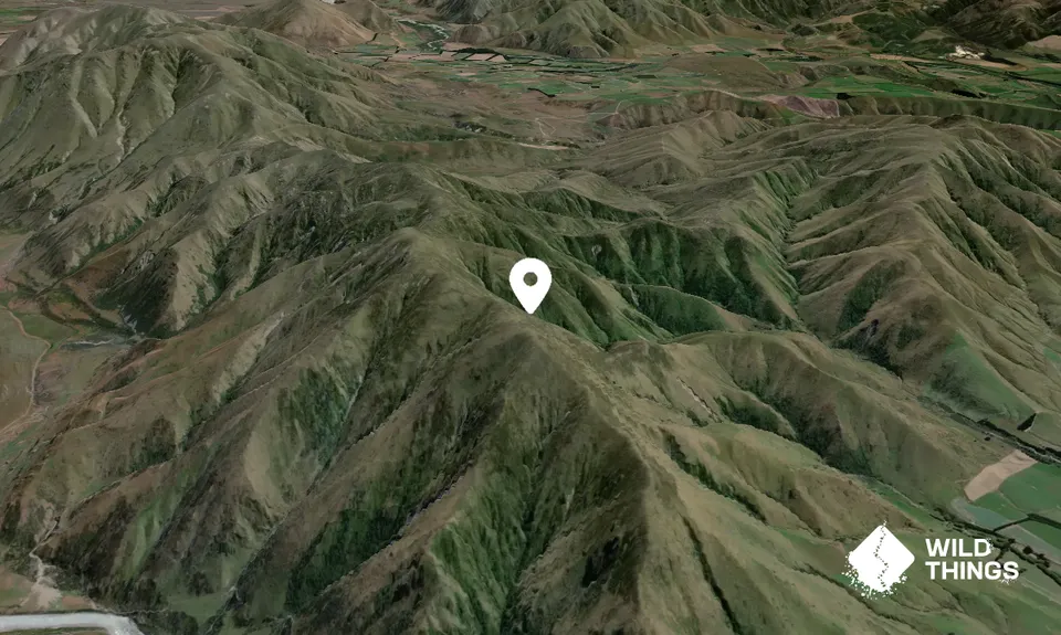 Mount Pukanui