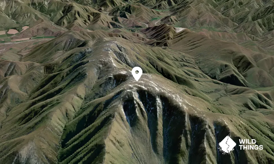 Tripps Peak