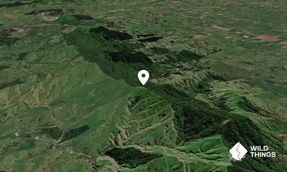 Karamuroa