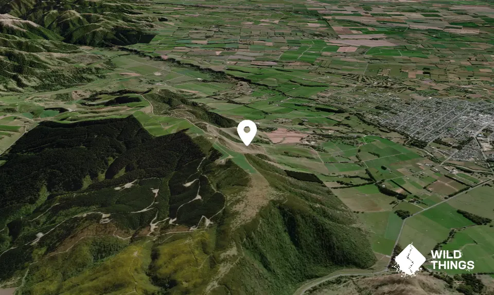 Mount Ellen