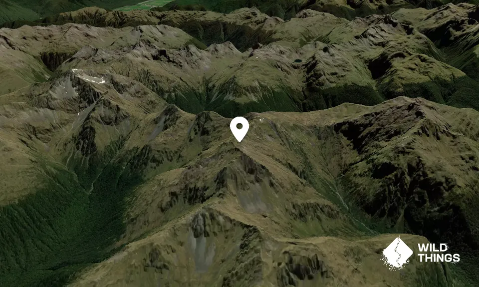 Mount Carrington