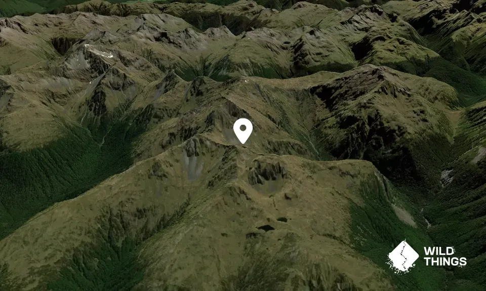 Mount Quail