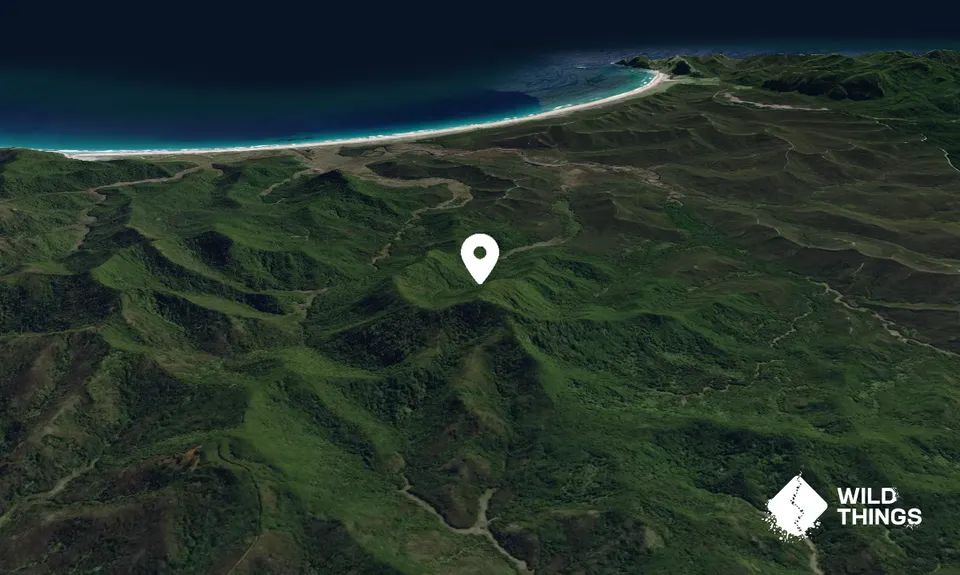 Kohuronaki