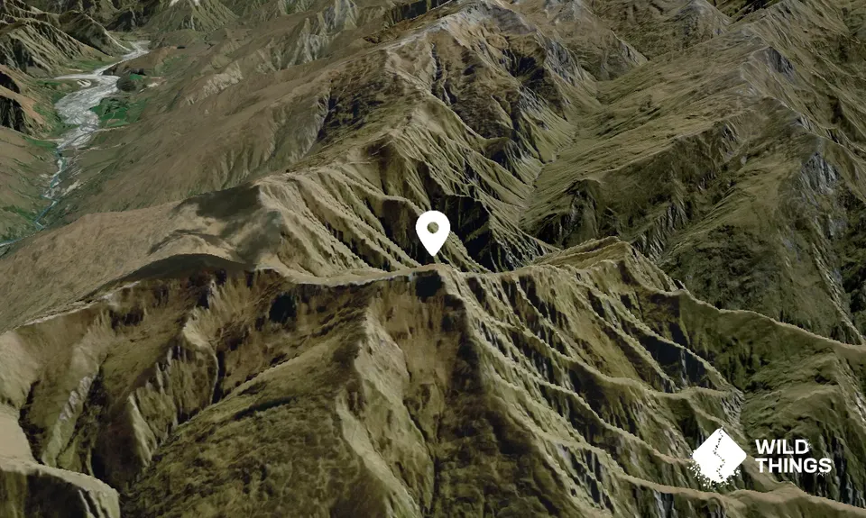 Advance Peak