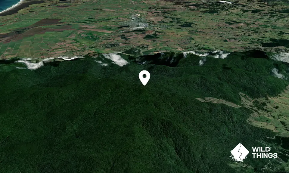Taumatamahoe