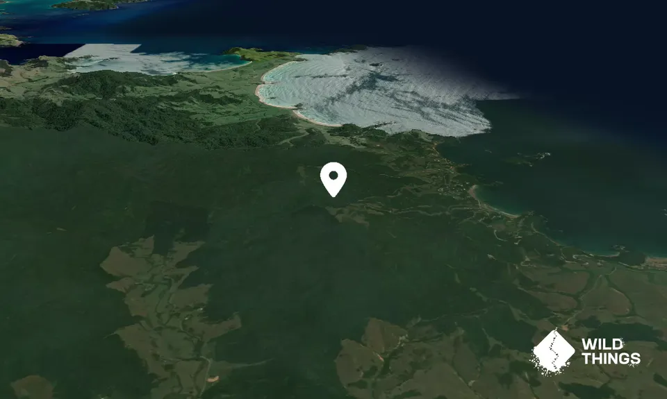 Onekainga