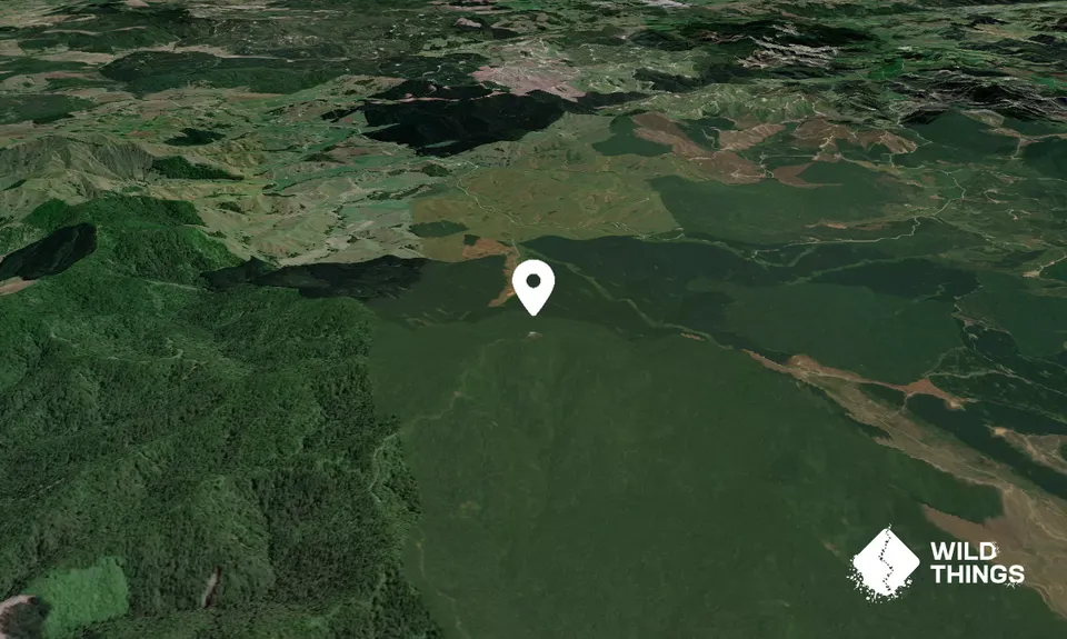 Hikurangi