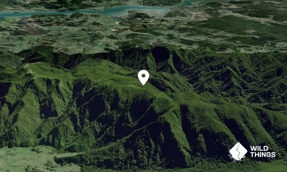 Te Raupua