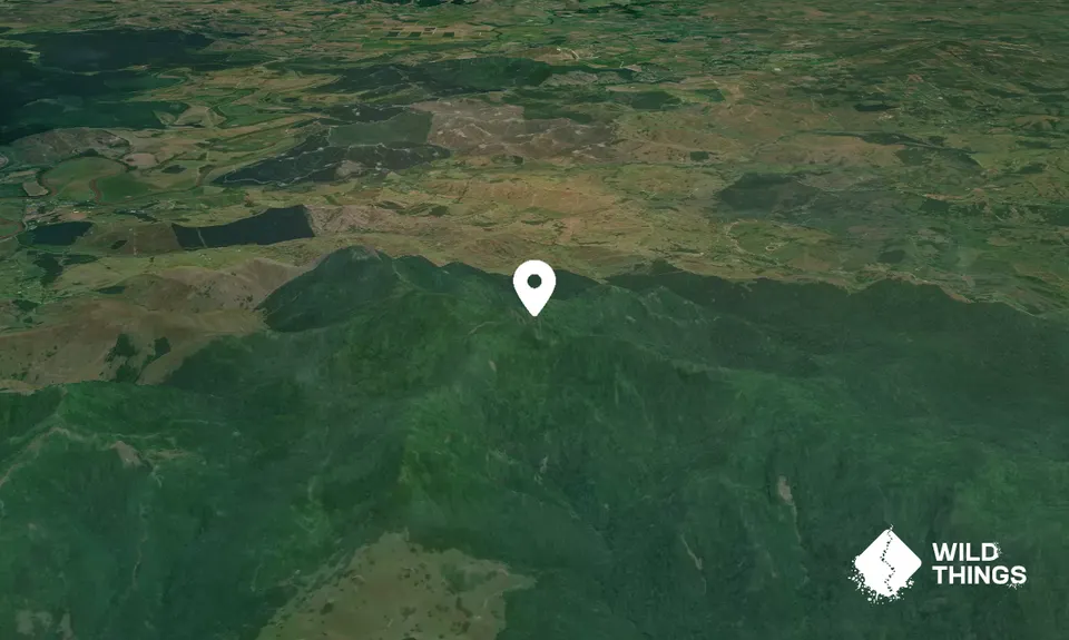 Tangihua 