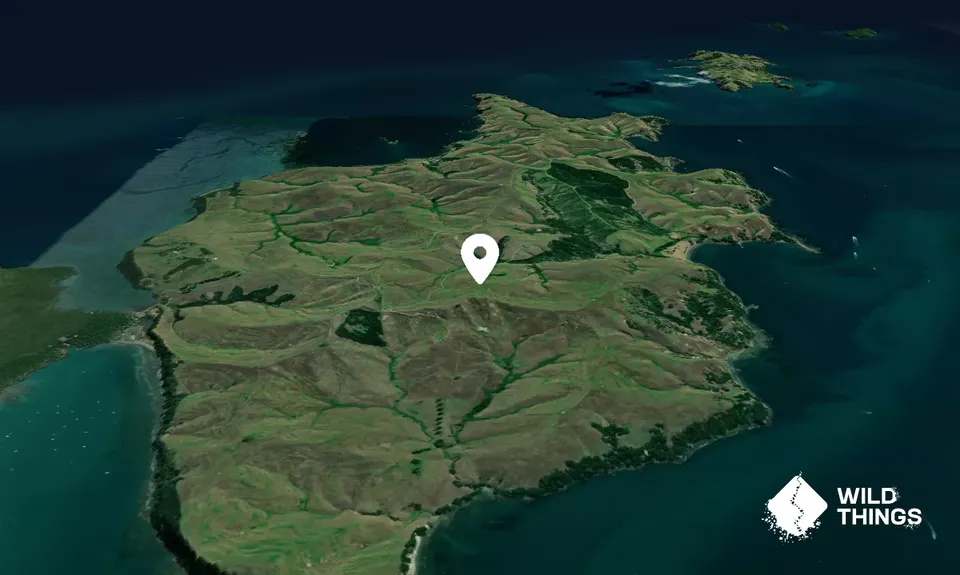 Motutapu